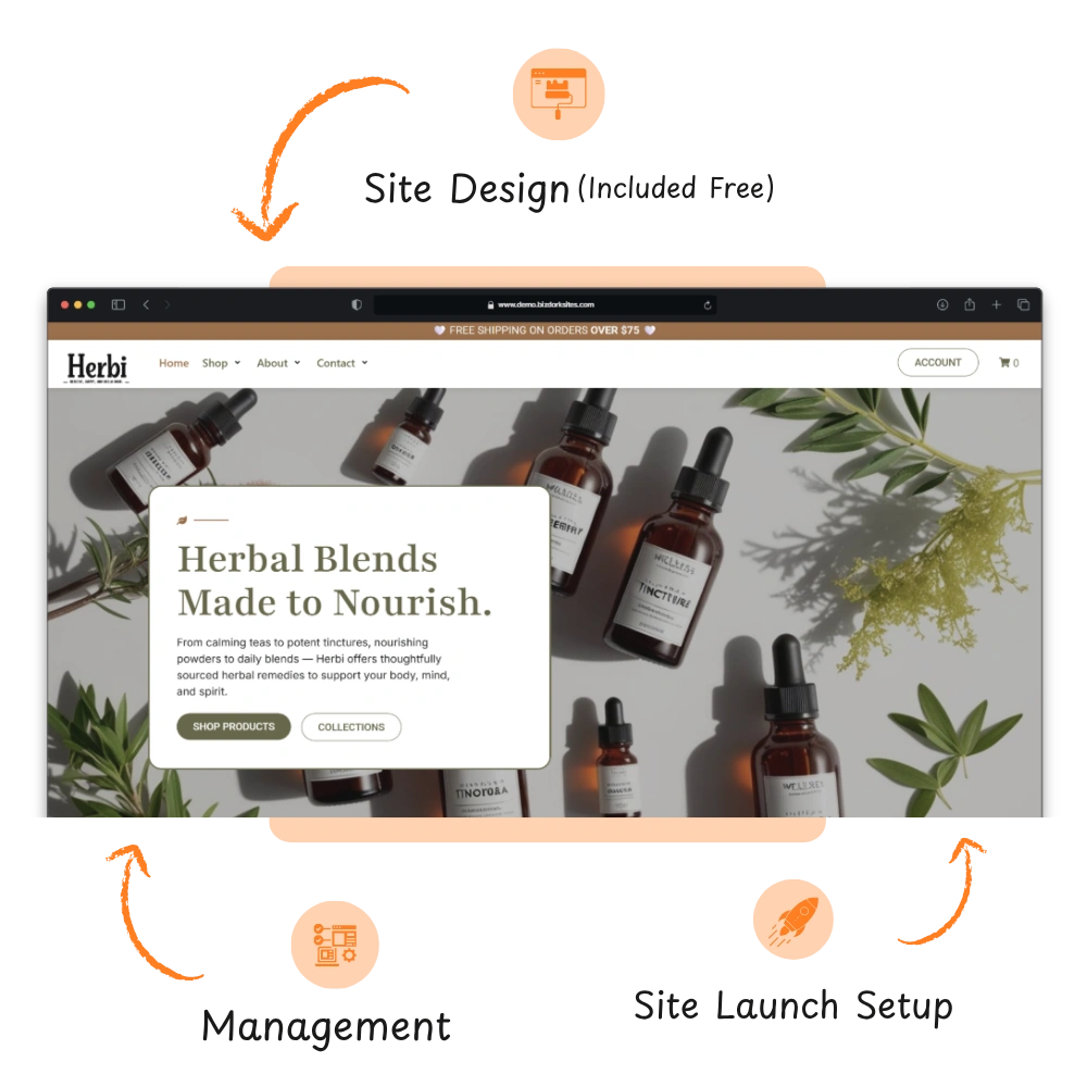 Bizdorks Website Bundle Homapage Section Image 4